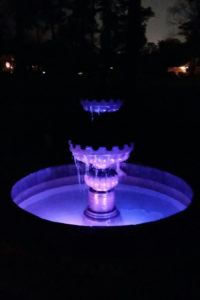 Fountain Night View