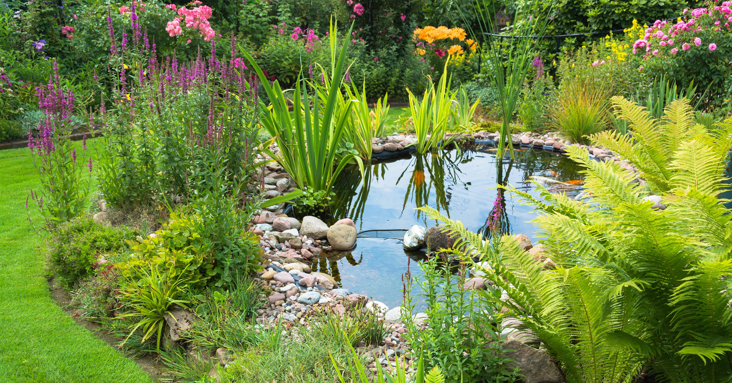 garden pond tours